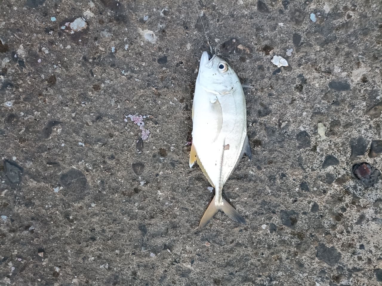 メッキ