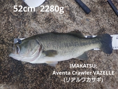 ブラックバスの釣果