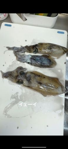 アジュール舞子