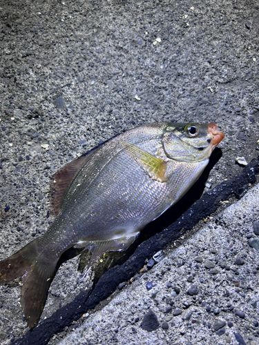 石狩湾新港
