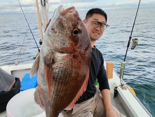 マダイの釣果