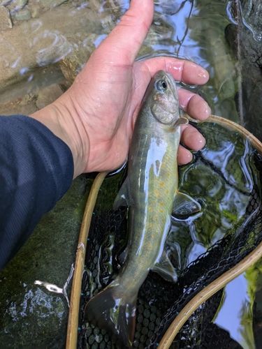 長野県南部