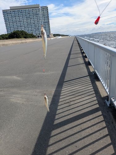 ディズニーリゾート付近