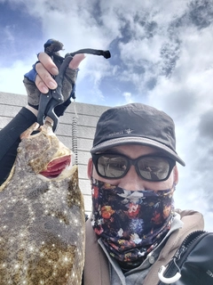 ヒラメの釣果