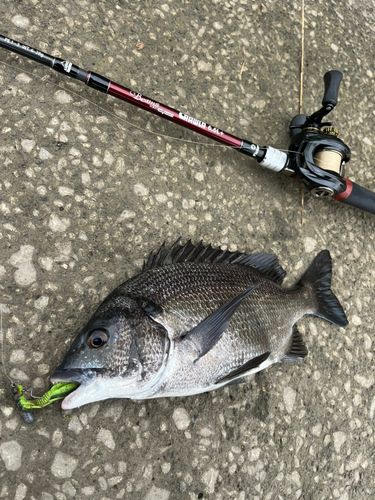 浦戸湾