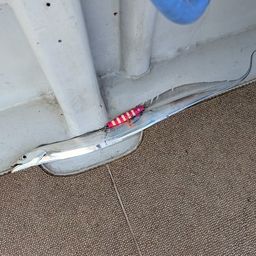 タチウオ
