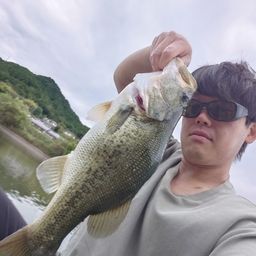 ブラックバス