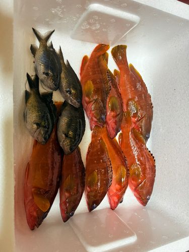 米水津