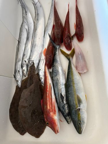伊勢湾