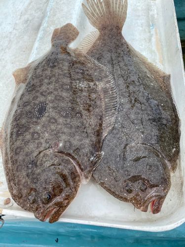 浜名湖