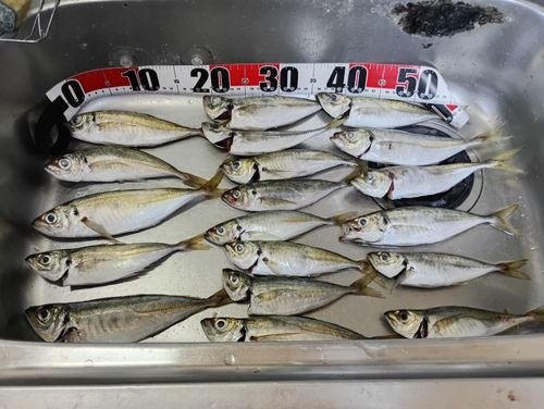 玄界灘