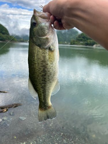 丹沢湖