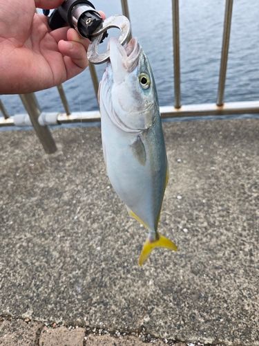 鞠山海遊パーク
