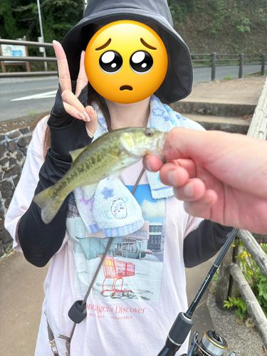 一碧湖