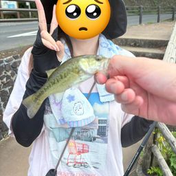 ブラックバス