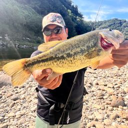 ラージマウスバス