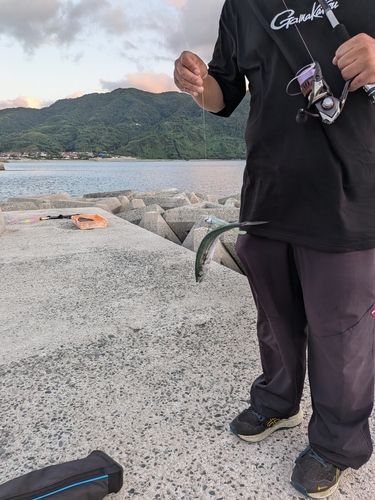 恵曇港