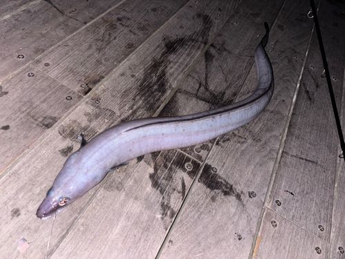 小名浜港アクアマリンふくしま周辺