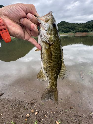 七ツ森湖