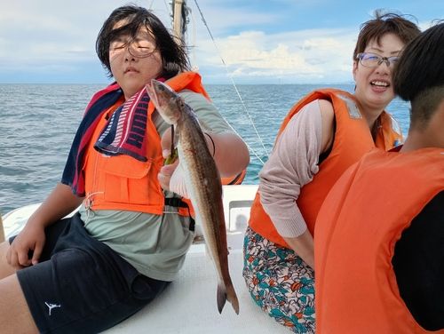 大阪湾