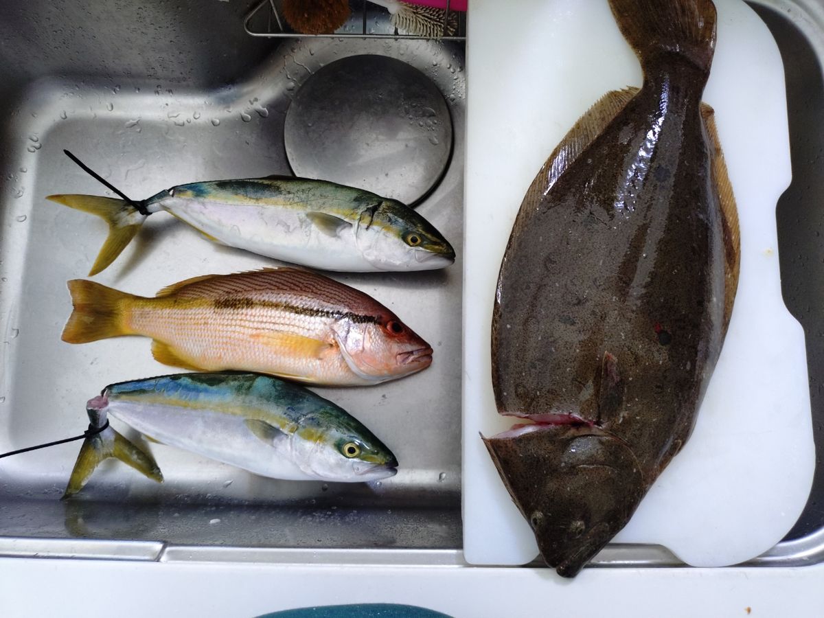 バーチャル名人さんの釣果 1枚目の画像