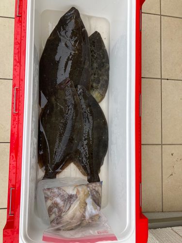 鹿島灘