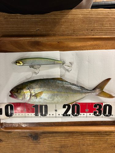 外房