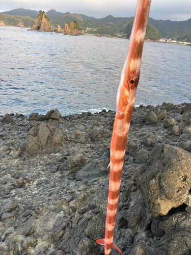 南伊豆