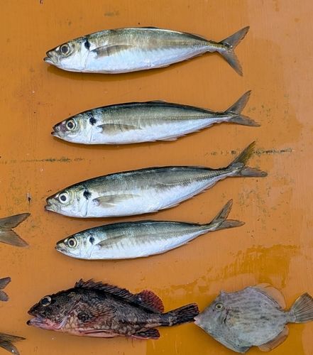 由良海つり公園