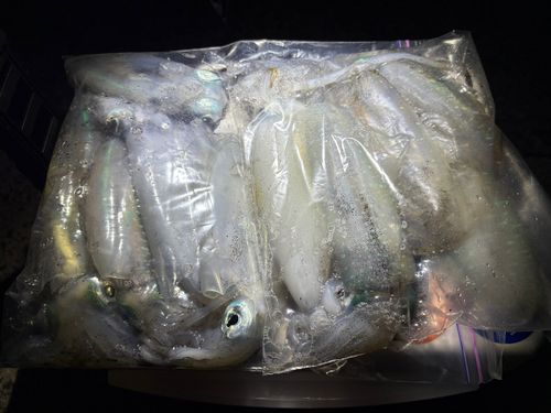 知多湾