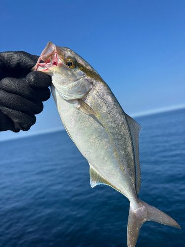 長崎湾