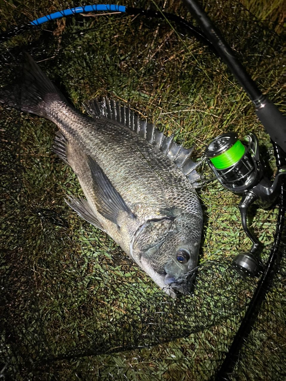 Megabass 空海 CK-86LSの最安値・インプレ・釣果 | 本音の口コミ