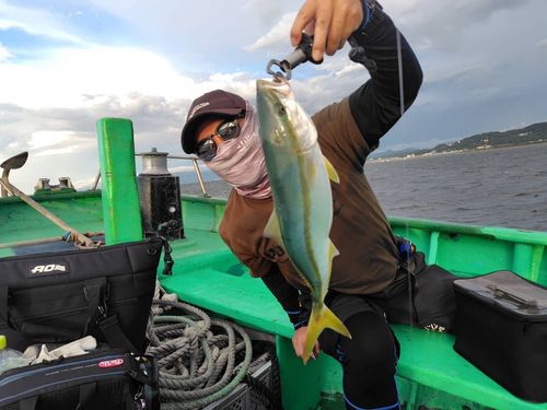 イナダの釣果