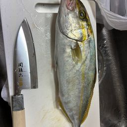 ネリゴ