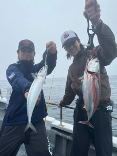 ワラサの釣果