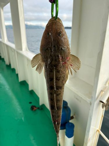 瀬戸内海