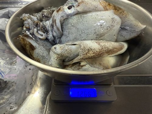 中洲漁港