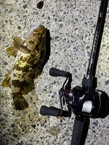 常滑りんくう釣り護岸