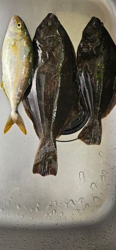 三陸海岸（青森）