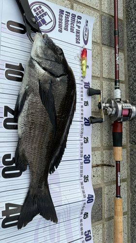宮津湾