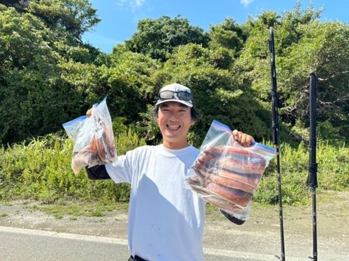 スルメイカの釣果