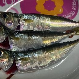 サバ
