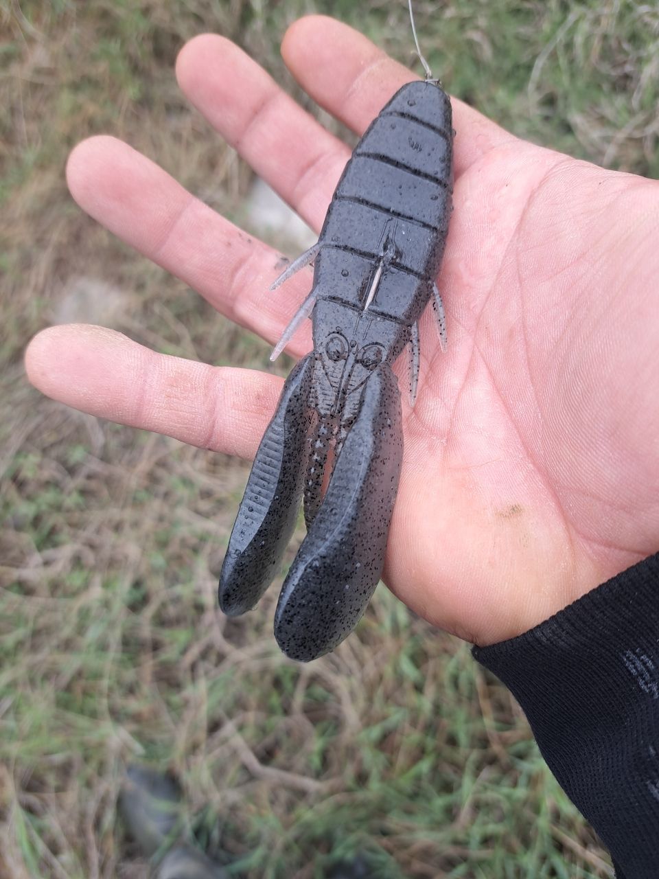 ブラックバス