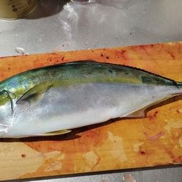 イナダ