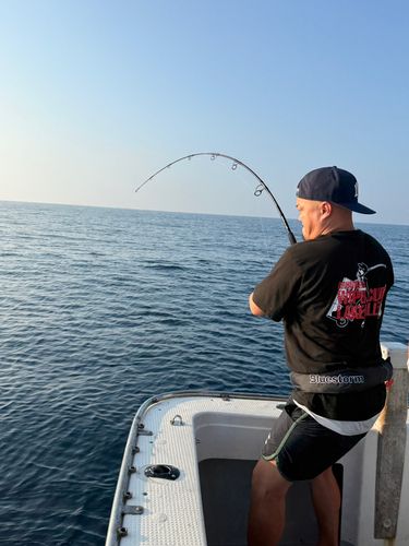 オキサワラの釣果