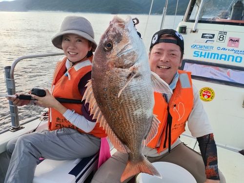 マダイの釣果