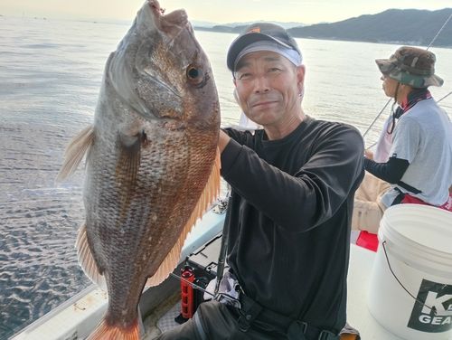 マダイの釣果