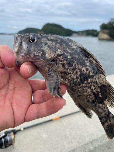 松島湾
