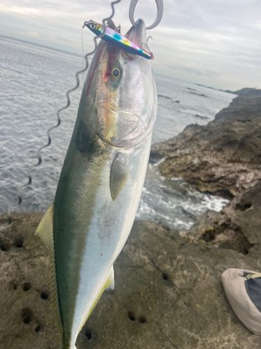 三浦半島