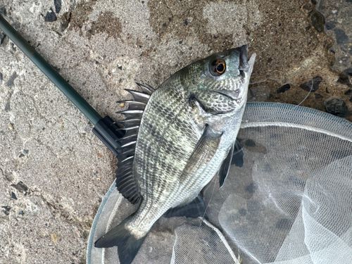 牛窓海水浴場